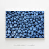 A Bit of Blue | Art Print - SC-Art-Frames