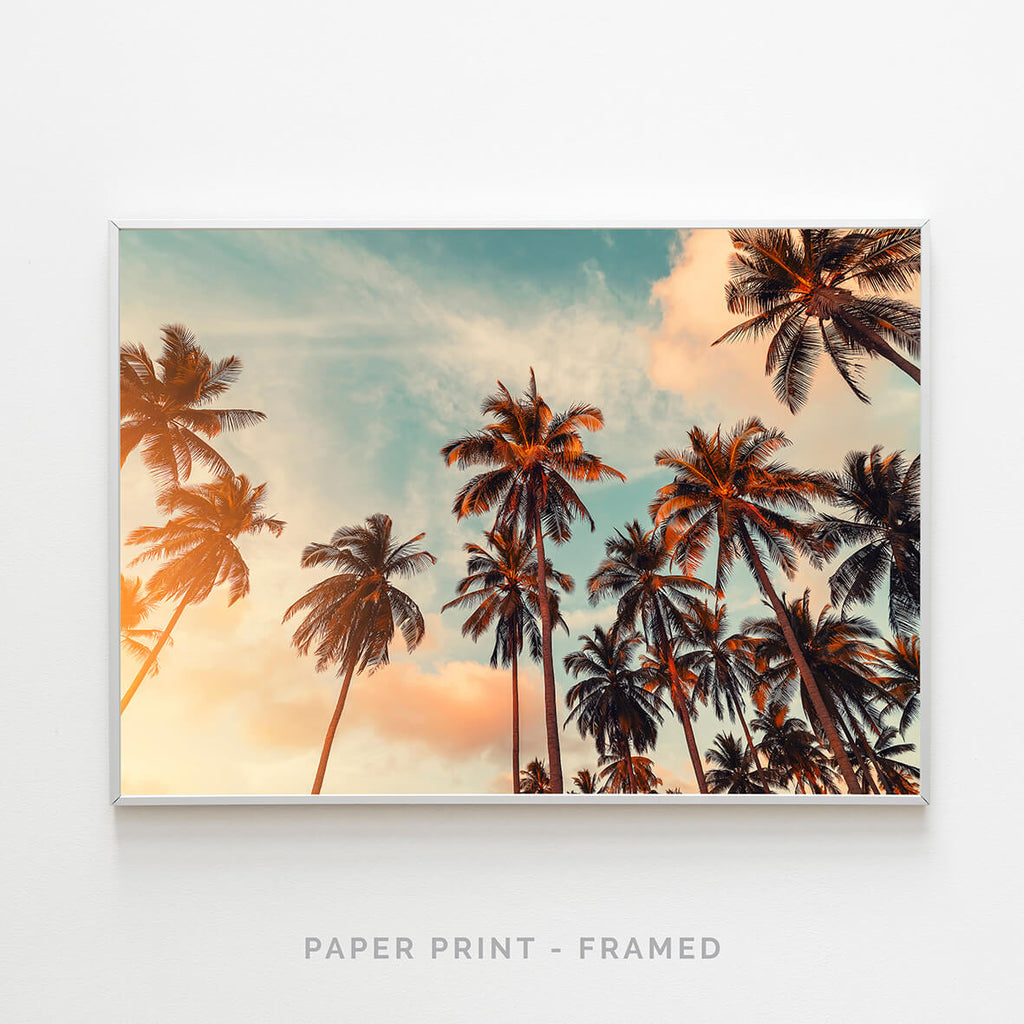 Between The Palms | Art Print - SC-Art-Frames