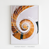 Golden Ratio | Art Print - SC-Art-Frames