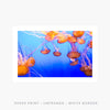 Jellyfish II | Art Print - SC-Art-Frames