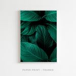 Lush Green | Art Print - SC-Art-Frames
