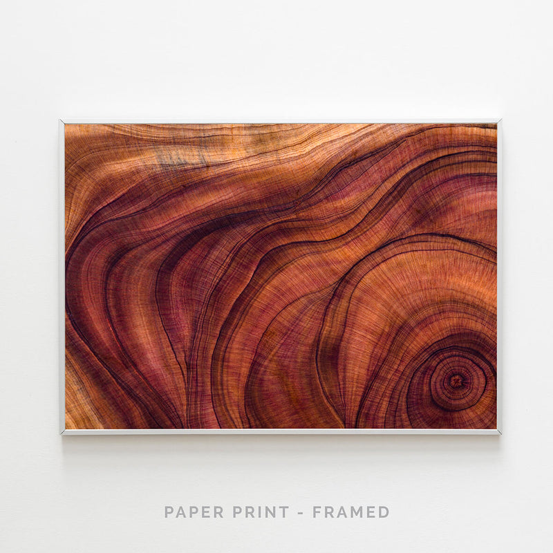 Moment | Art Print - SC-Art-Frames