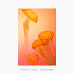 Orange | Art Print - SC-Art-Frames