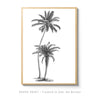 Palms | Art Print - SC-Art-Frames
