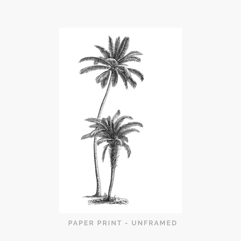 Palms | Art Print - SC-Art-Frames