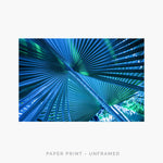 Palm I | Art Print - SC-Art-Frames