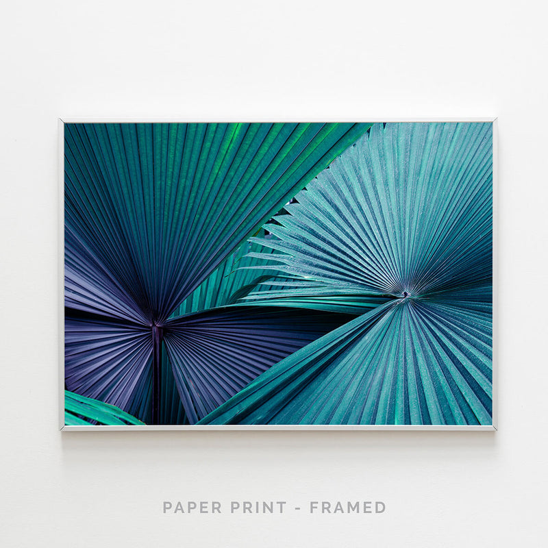 Palm II | Art Print - SC-Art-Frames