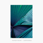 Palm IV | Art Print - SC-Art-Frames