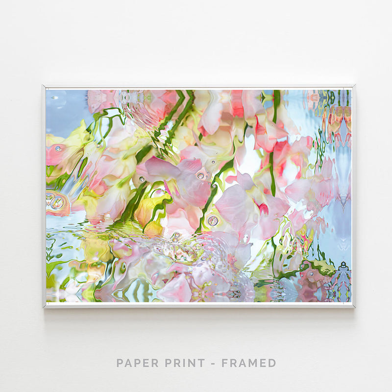 Pink Reflection | Art Print - SC-Art-Frames