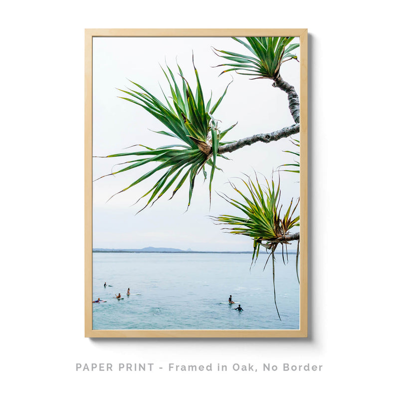 Tea Tree Bay Noosa | Art Print - SC-Art-Frames