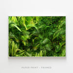 Tropical Bliss | Art Print - SC-Art-Frames