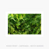 Tropical Bliss | Art Print - SC-Art-Frames