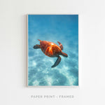 Turtle | Art Print - SC-Art-Frames