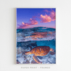 Turtle II | Art Print - SC-Art-Frames