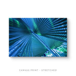 a picture of a palm tree with the words canvas print - stretched
