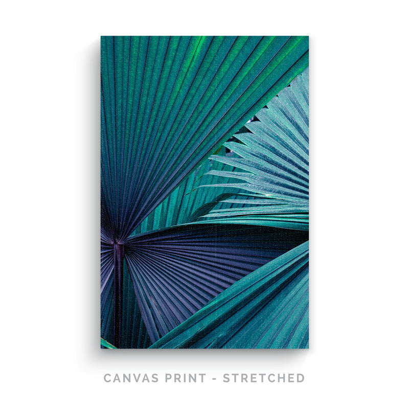 a picture of a blue and green palm leaf
