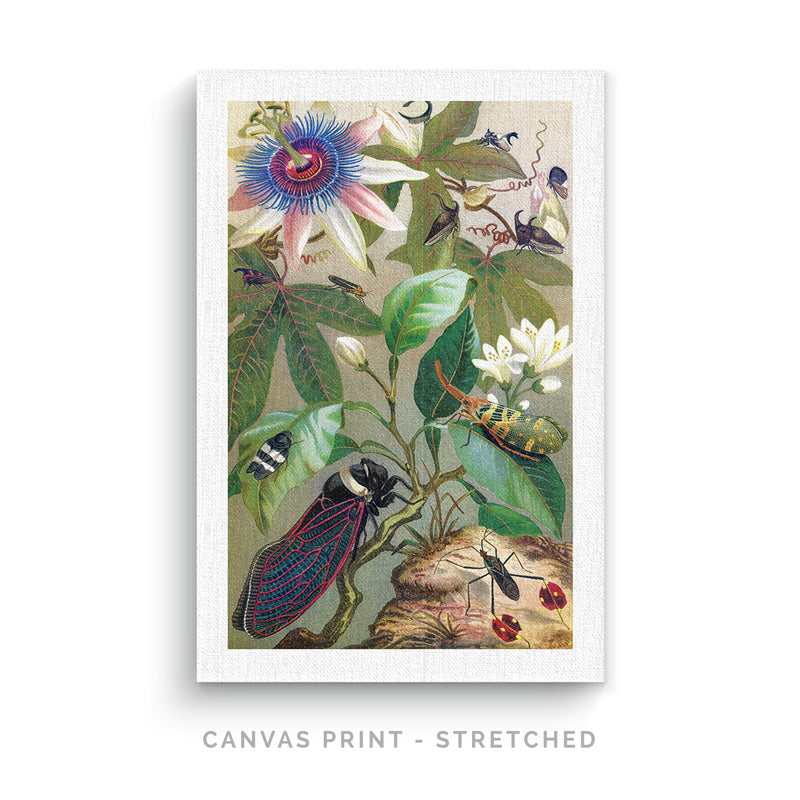 a card with a picture of a bug and flowers