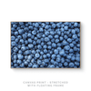 A Bit of Blue | Canvas Print - SC-Art-Frames