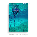 Blues | Canvas Print - SC-Art-Frames