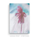 Breezy | Canvas Print - SC-Art-Frames