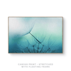 Dandelion | Canvas Print - SC-Art-Frames