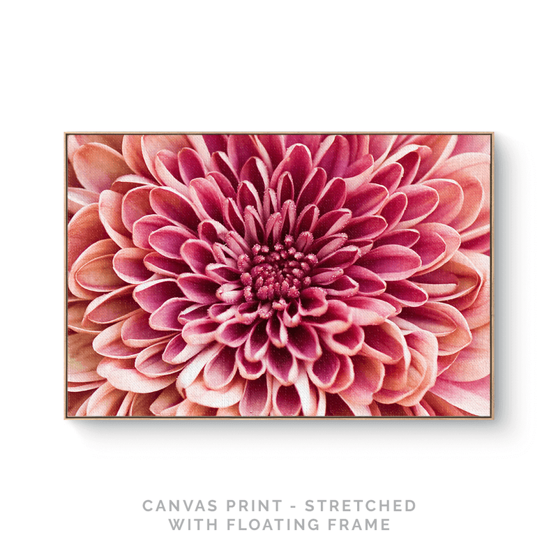 Dhalia | Canvas Print - SC-Art-Frames