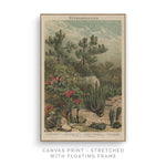 Euphorbiaceen | Canvas Print - SC-Art-Frames