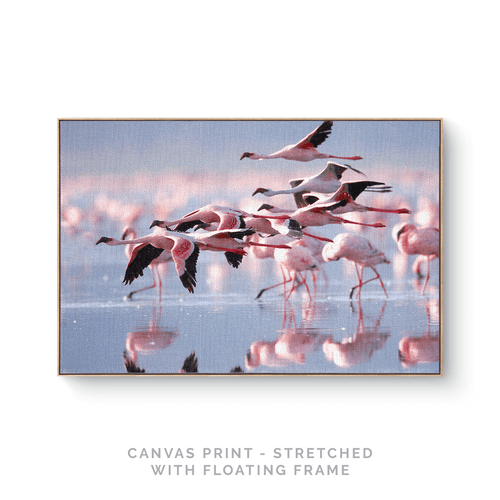 Fly With Me | Canvas Print - SC-Art-Frames