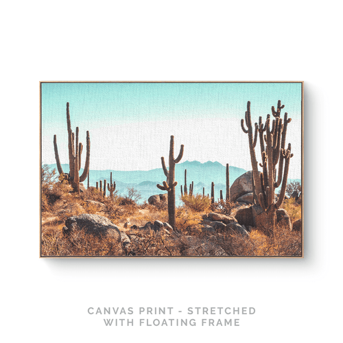 Hot Desert | Canvas Print - SC-Art-Frames