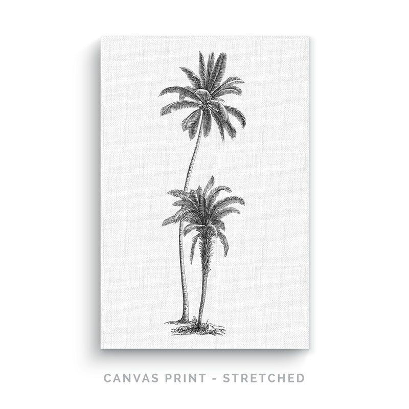 a black and white drawing of two palm trees
