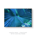 a picture of a palm tree with the text canvas print - stretched with floating frame