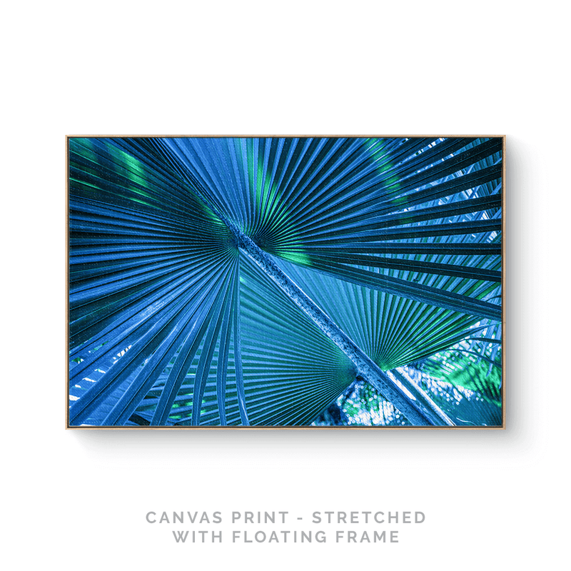 a picture of a palm tree with the text canvas print - stretched with floating frame