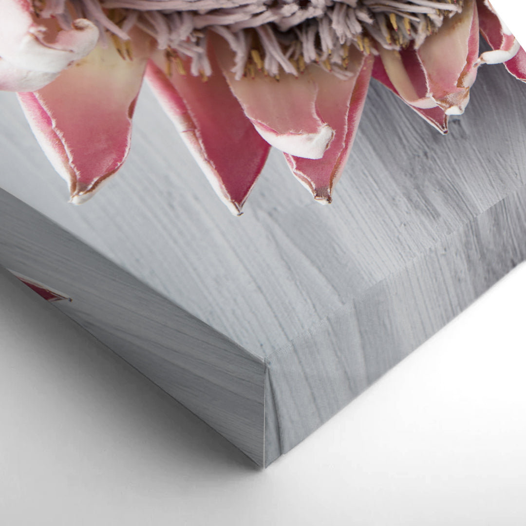 Sunshine Coast Art & Framing Gallery » Blog Archive Protea Print on